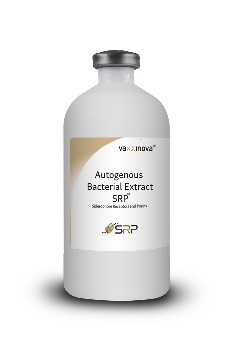 Cattle---Autogenous-Bacterial-Extract-SRP-WEB