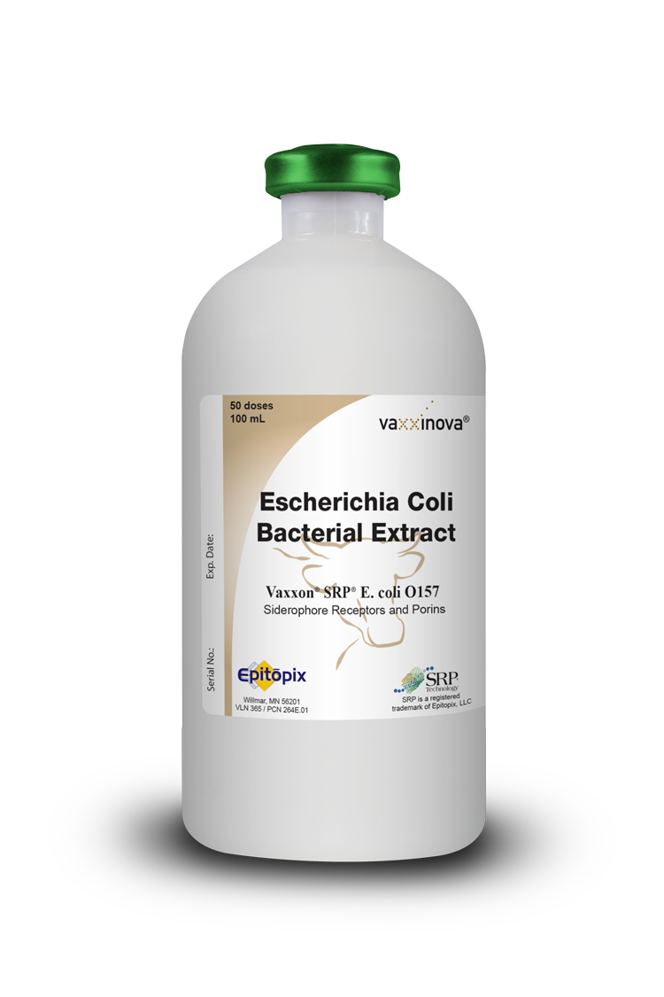 Cattle---Eschericha-Coli-Bacterial-Extract-WEB